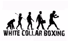 White Collar Boxer evolution